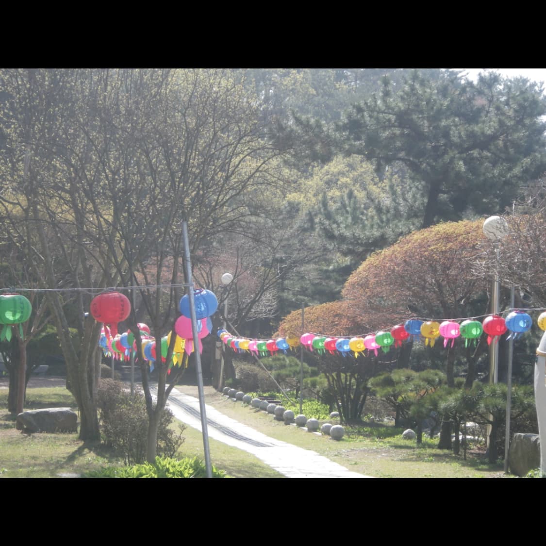 작례⭕️ 펜탁스 WG-10  상품이미지7