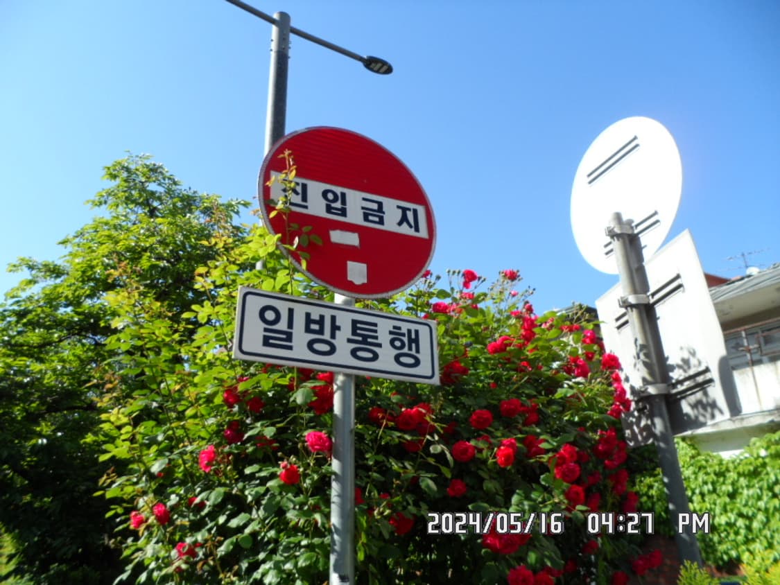 삼성 MV800 미러팝 디지털 카메라 화이트 한효주 디카 상품이미지10