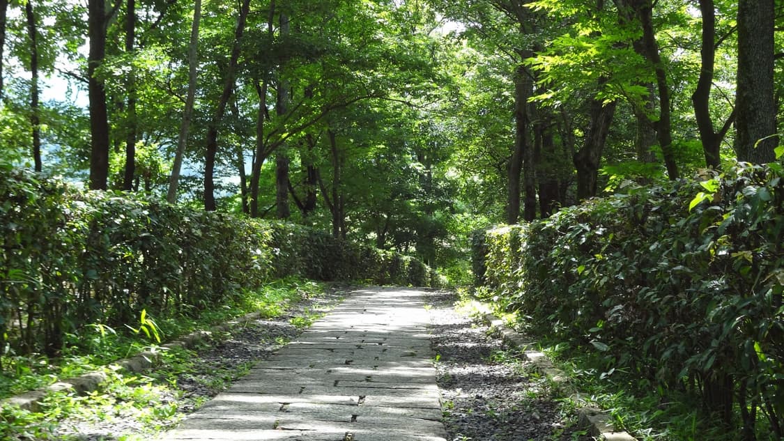 소니 사이버샷 Sony Cyber-shot DSC-WX7 퍼플 상품이미지4