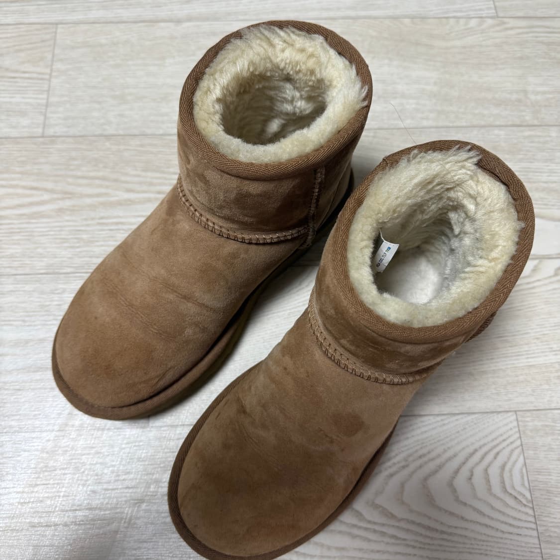 미국어그 클래식 미니(220) 상품이미지1