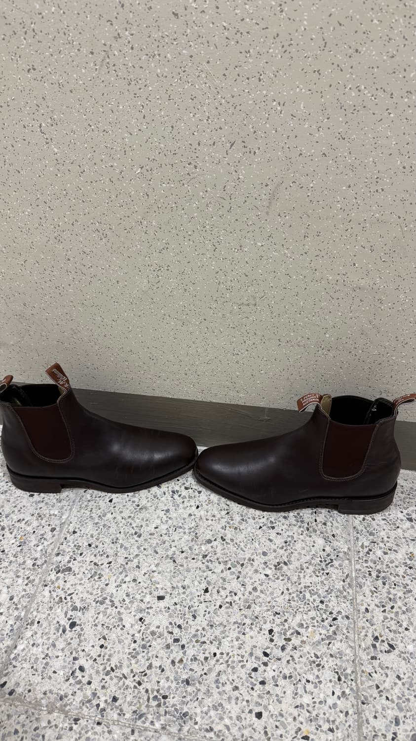 RM WILLIAMS Yearling Chestnut 8G 270 상품이미지3