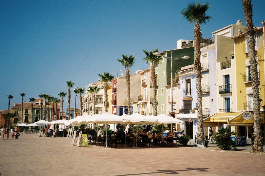 작례O 보장된 결과물 삼성 케녹스 140 winner 필름카메라 빈티지  상품이미지3