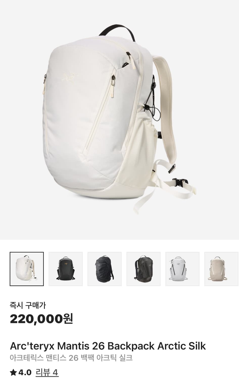 아크테릭스 백팩 상품이미지1
