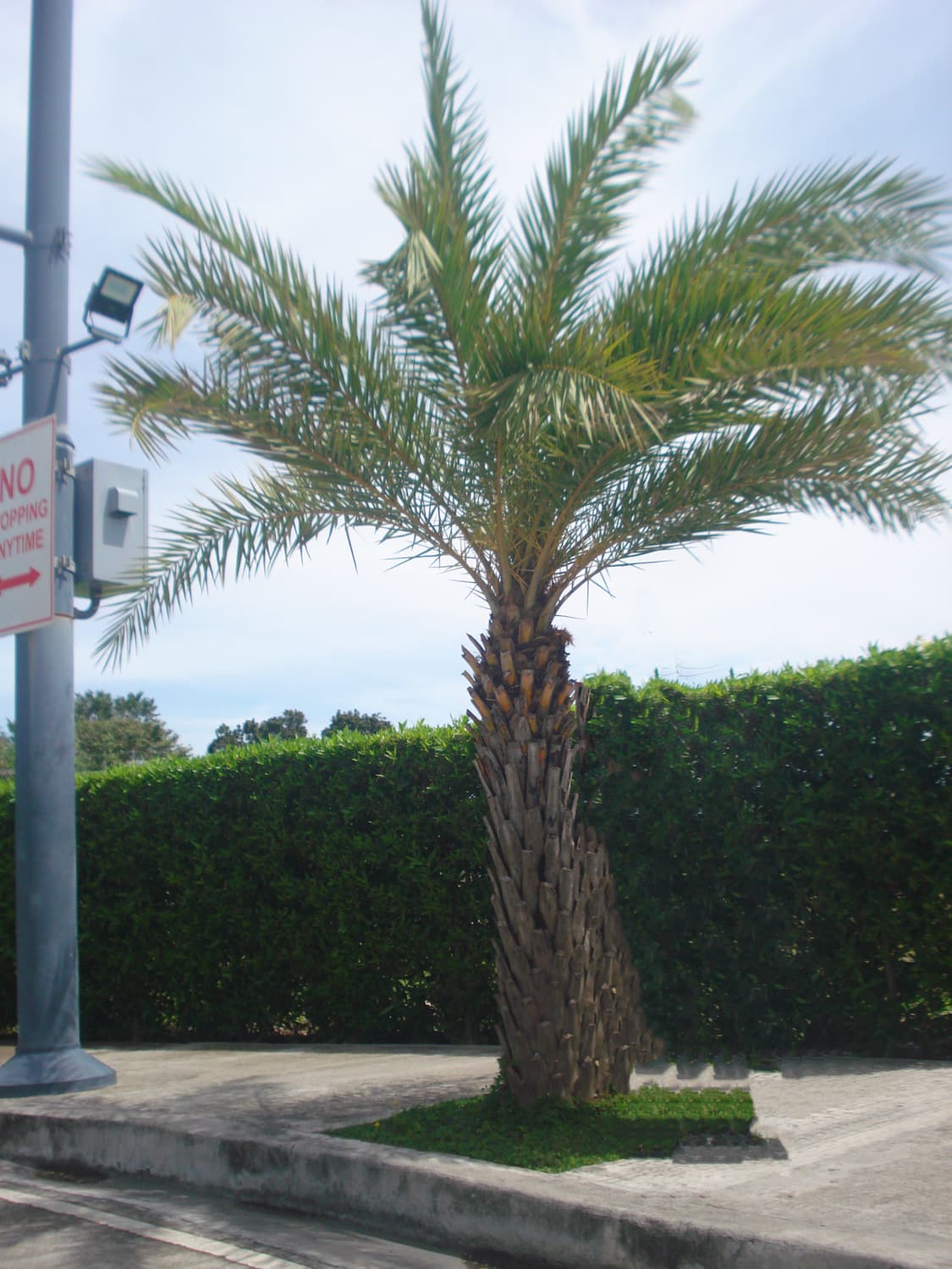 소니 사이버샷 dsc w55 상품이미지3