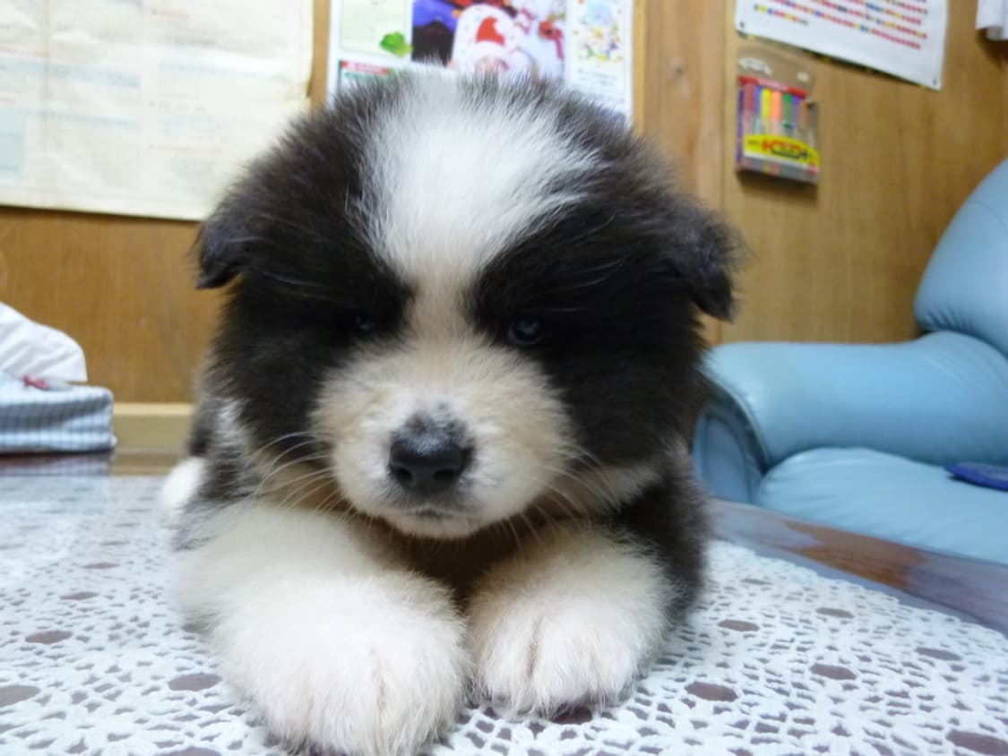 (터치스크린💗) 파나소닉 루믹스 DMC-FX77 상품이미지7