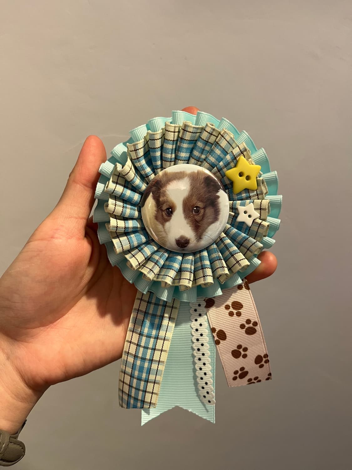 쭈굴강쥐 로제트 🐶 상품이미지5