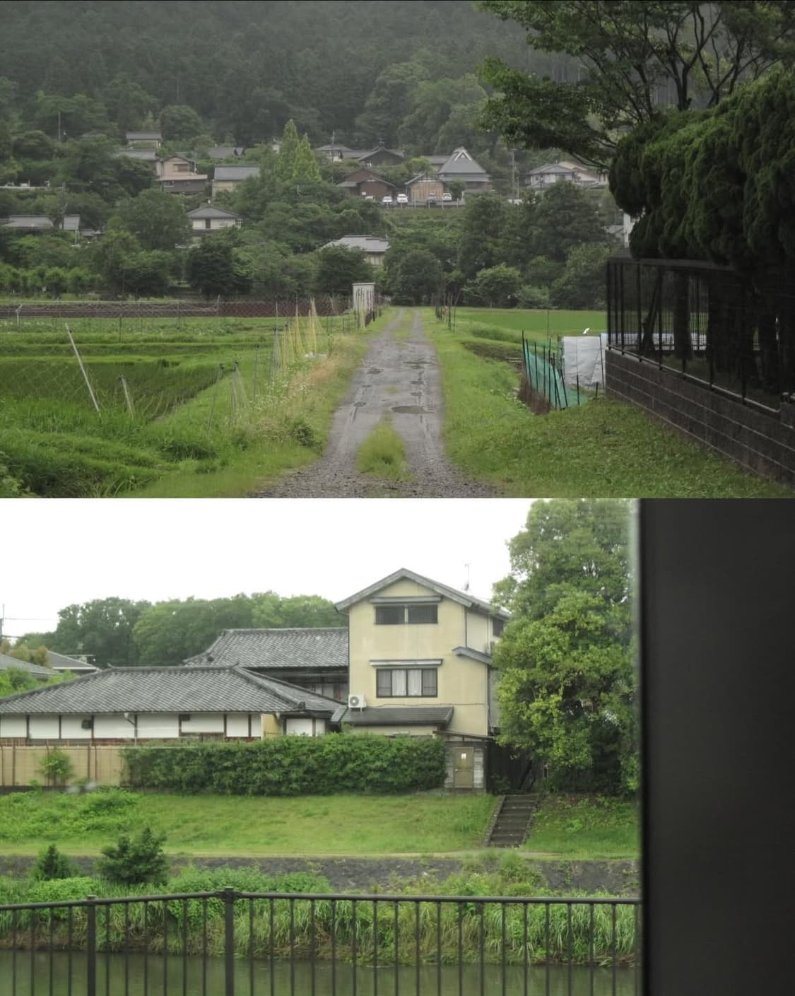 아이폰 6s 로골 64기가 판매해요 상품이미지10