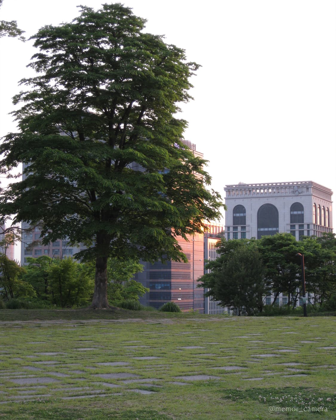 🩵AA건전지사용🩵 Canon powershot E1 캐논 상품이미지8