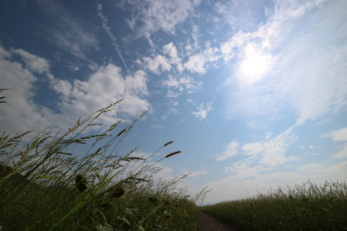 캐논 EOS Canon EOS M3 화이트 상품이미지2