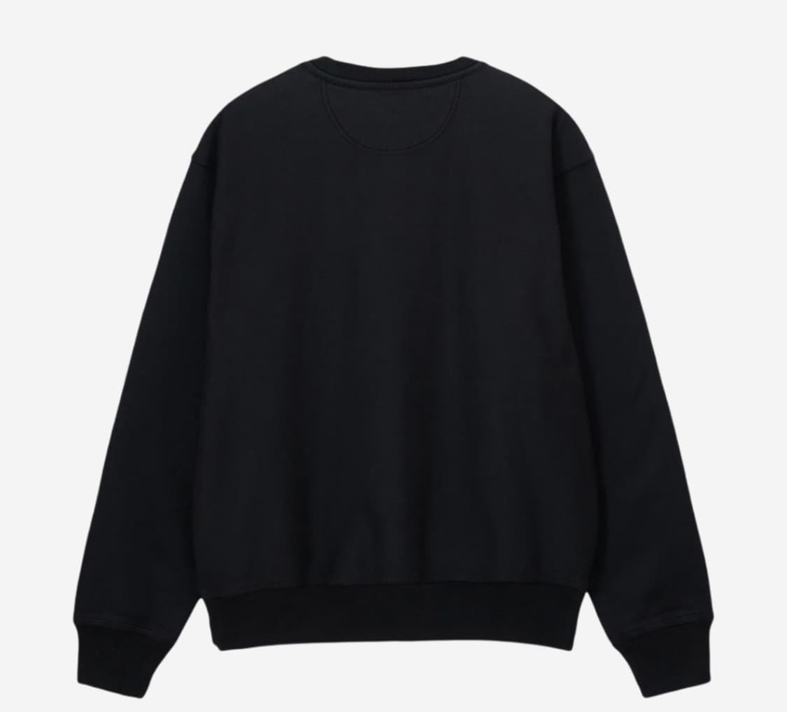 스투시 스탁 로고 크루넥 워시드 블랙 상품이미지2