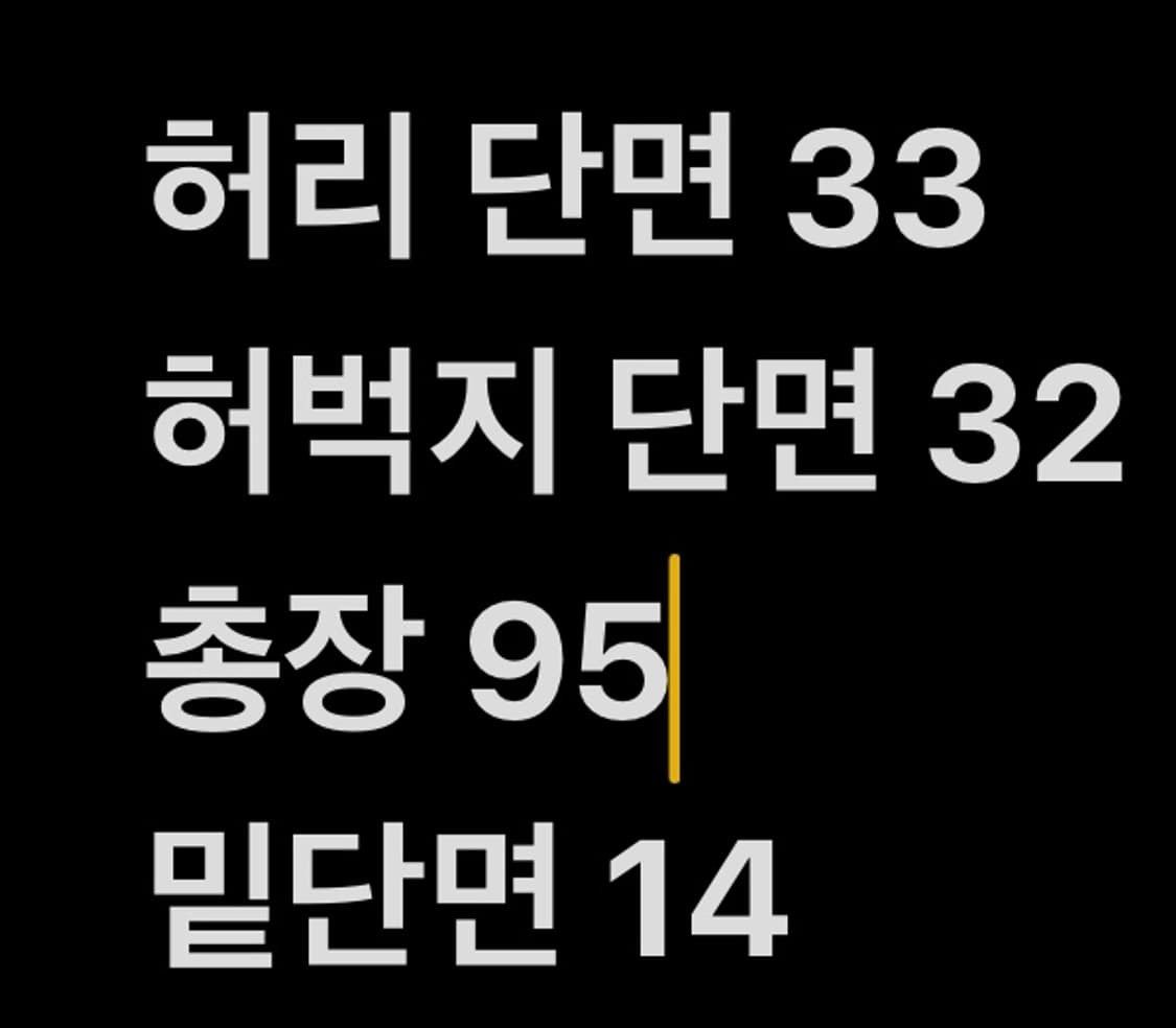 [ 정품/S,75 ] 나이키 nrg 기모 스웻팬츠 b10 상품이미지7