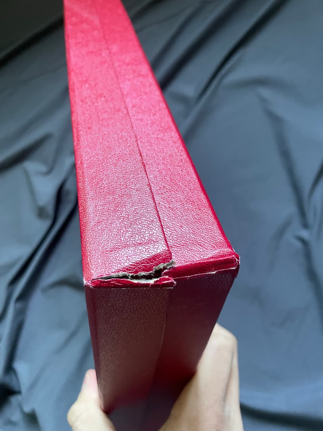 나이스네스 torossi 셔츠 상품이미지6