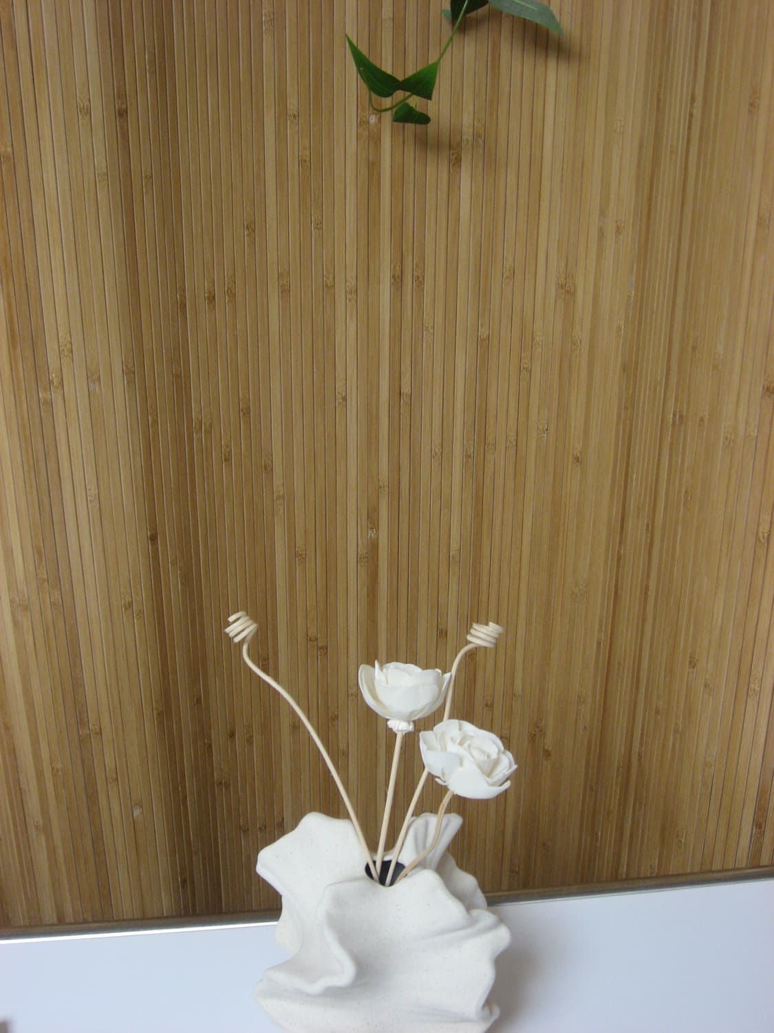 캐논 익시 800is 작례O 상품이미지9