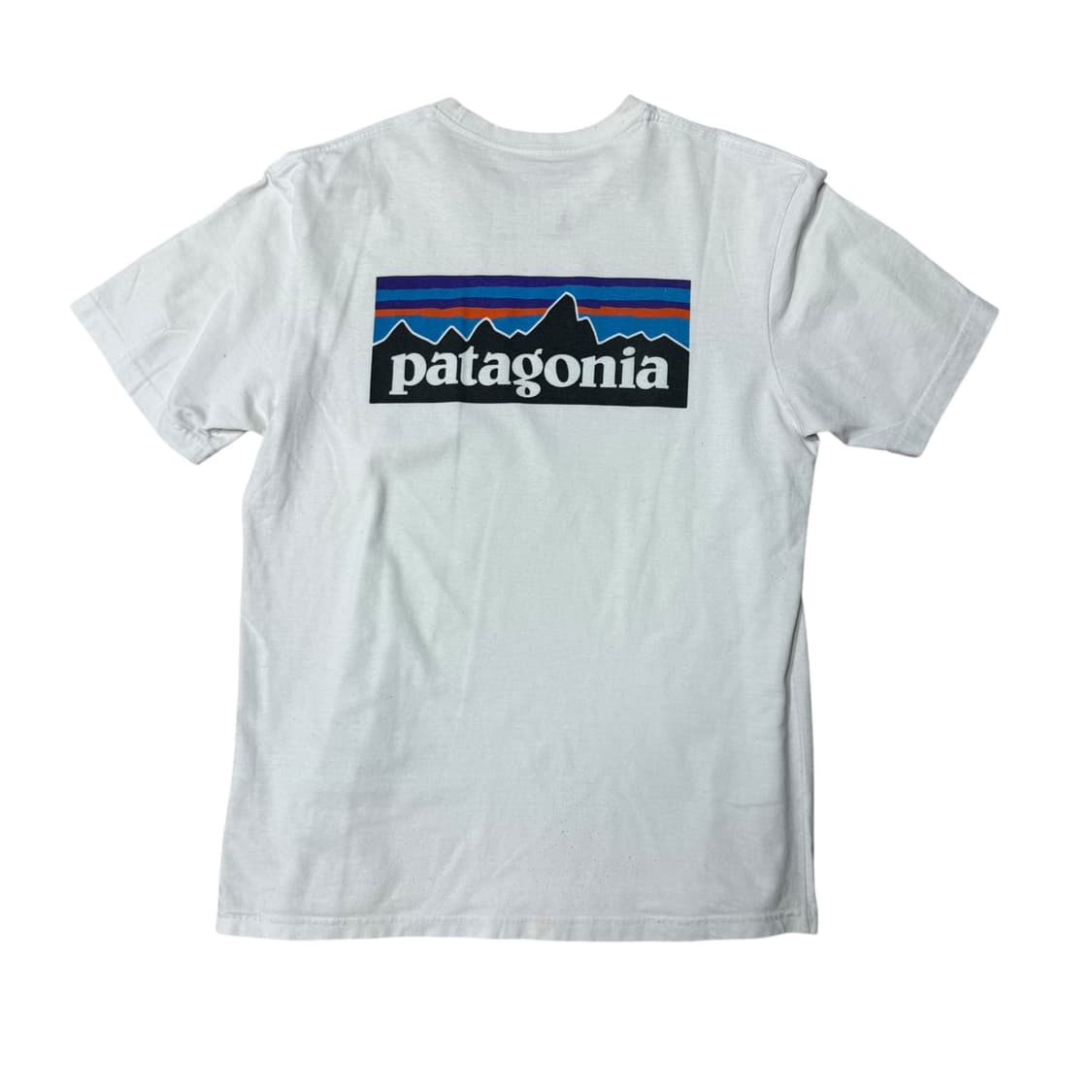 파타고니아 반팔티 상품이미지3