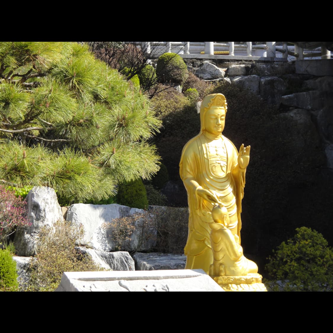 작례⭕️ 소니 사이버샷 DSC-TX5 상품이미지4