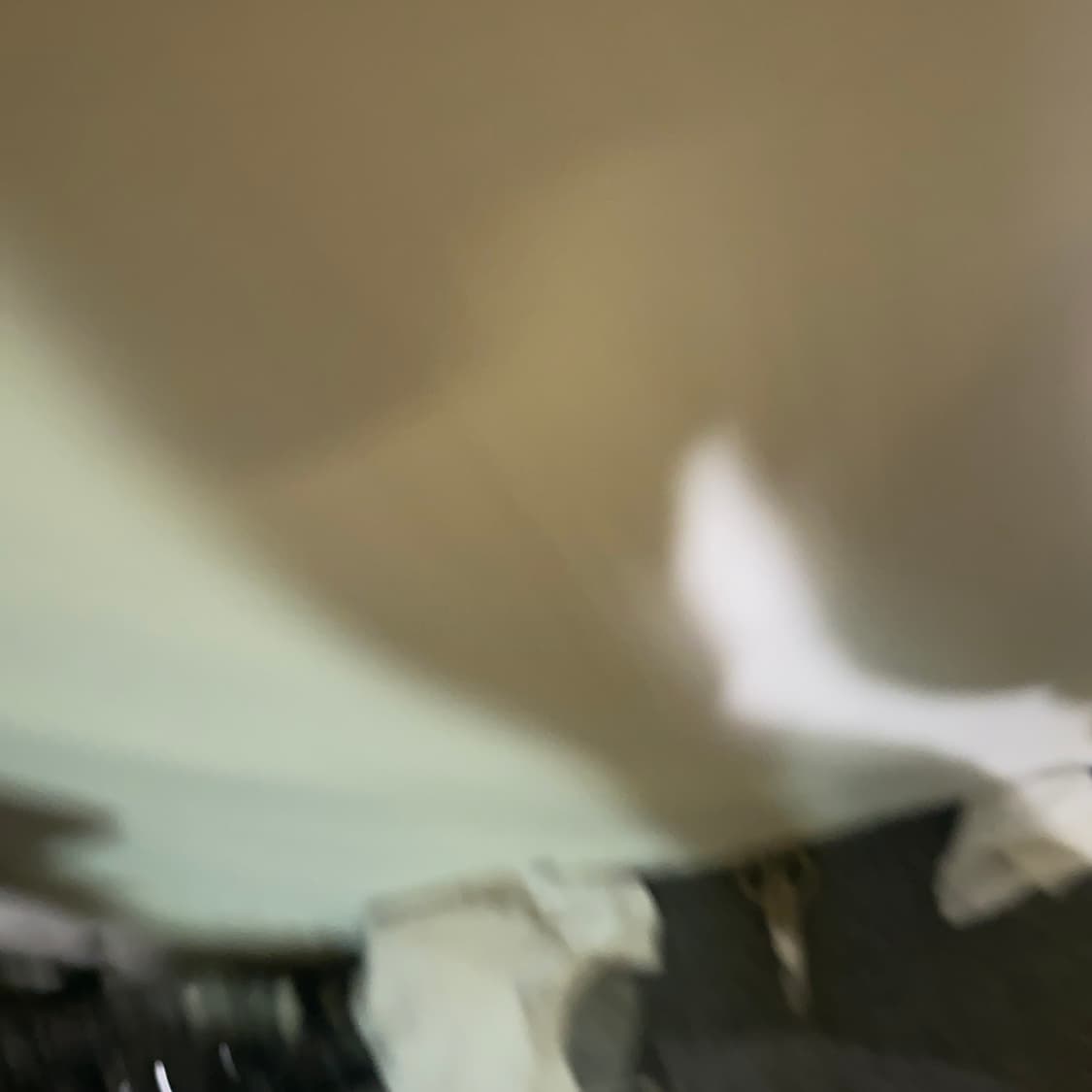 M)라코스테 여성 울 반팔 니트 상품이미지6