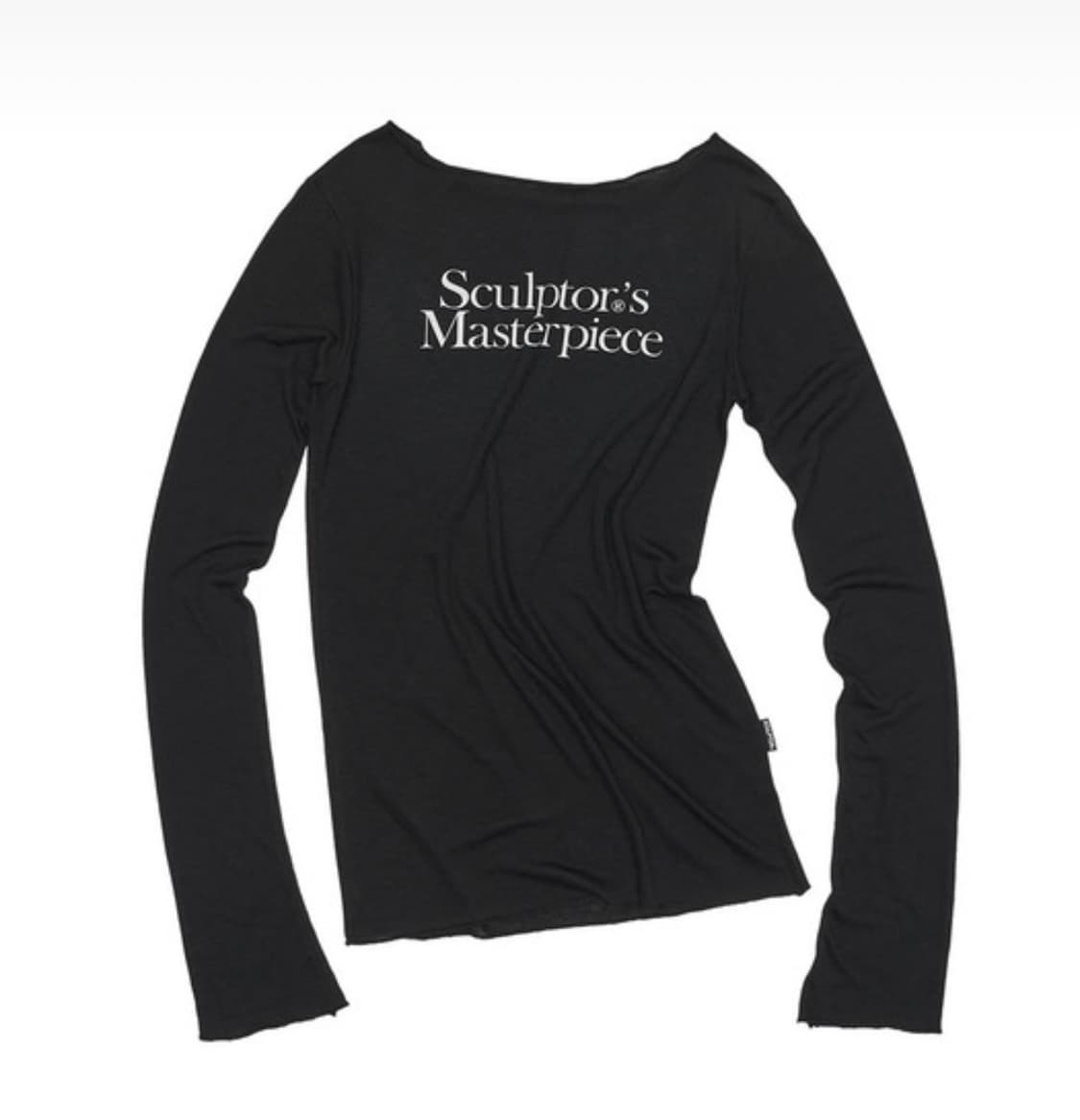 Masterpiece Sheer Top 상품이미지1