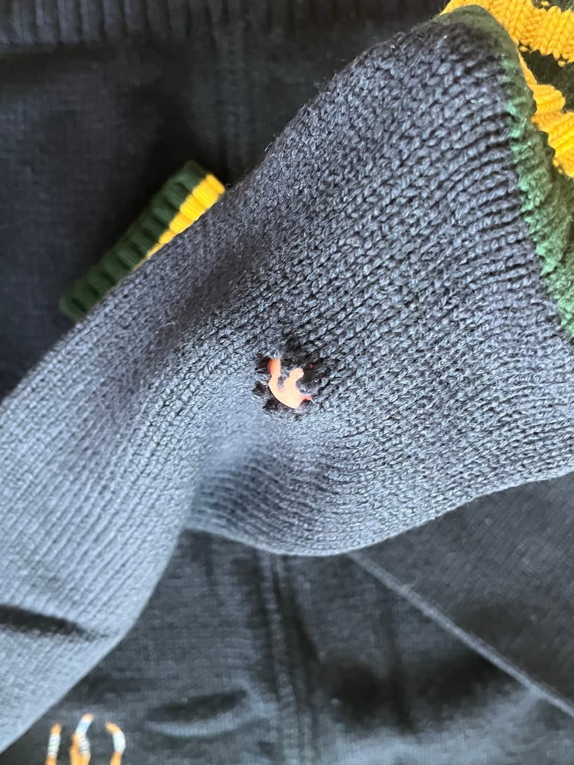 빈티디 램스 울 폴로 집업 상품이미지4