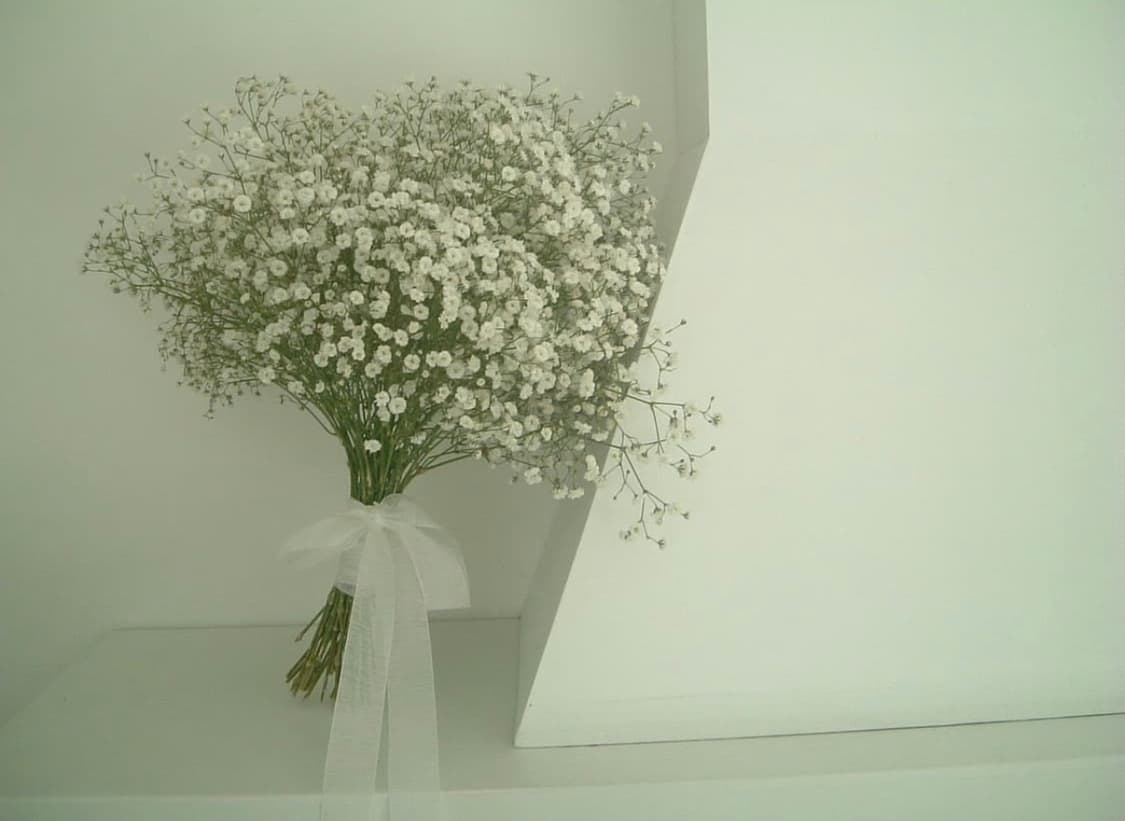 파인픽스 f401 풀박스! 상품이미지2