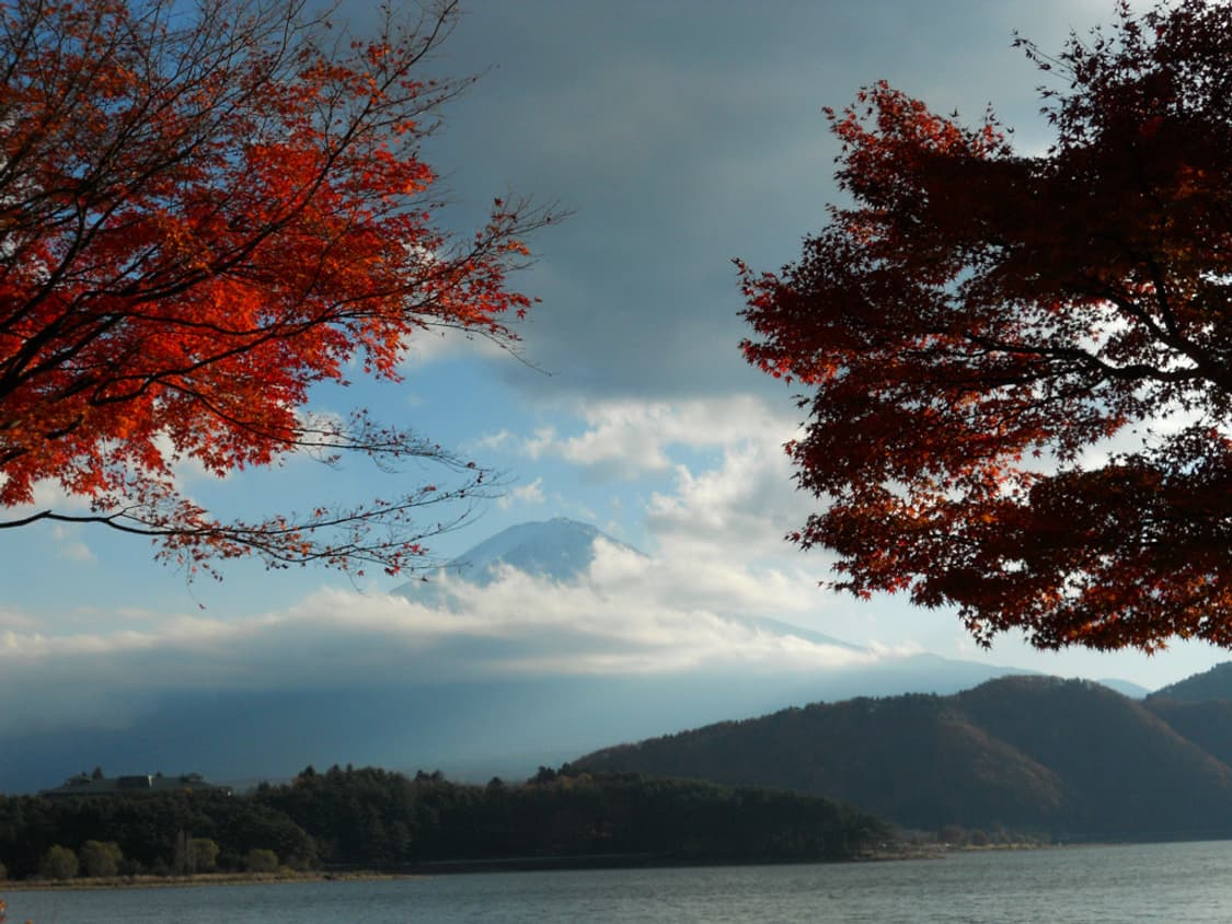 니콘 쿨픽스 Nikon COOLPIX S4000 핑크 상품이미지3