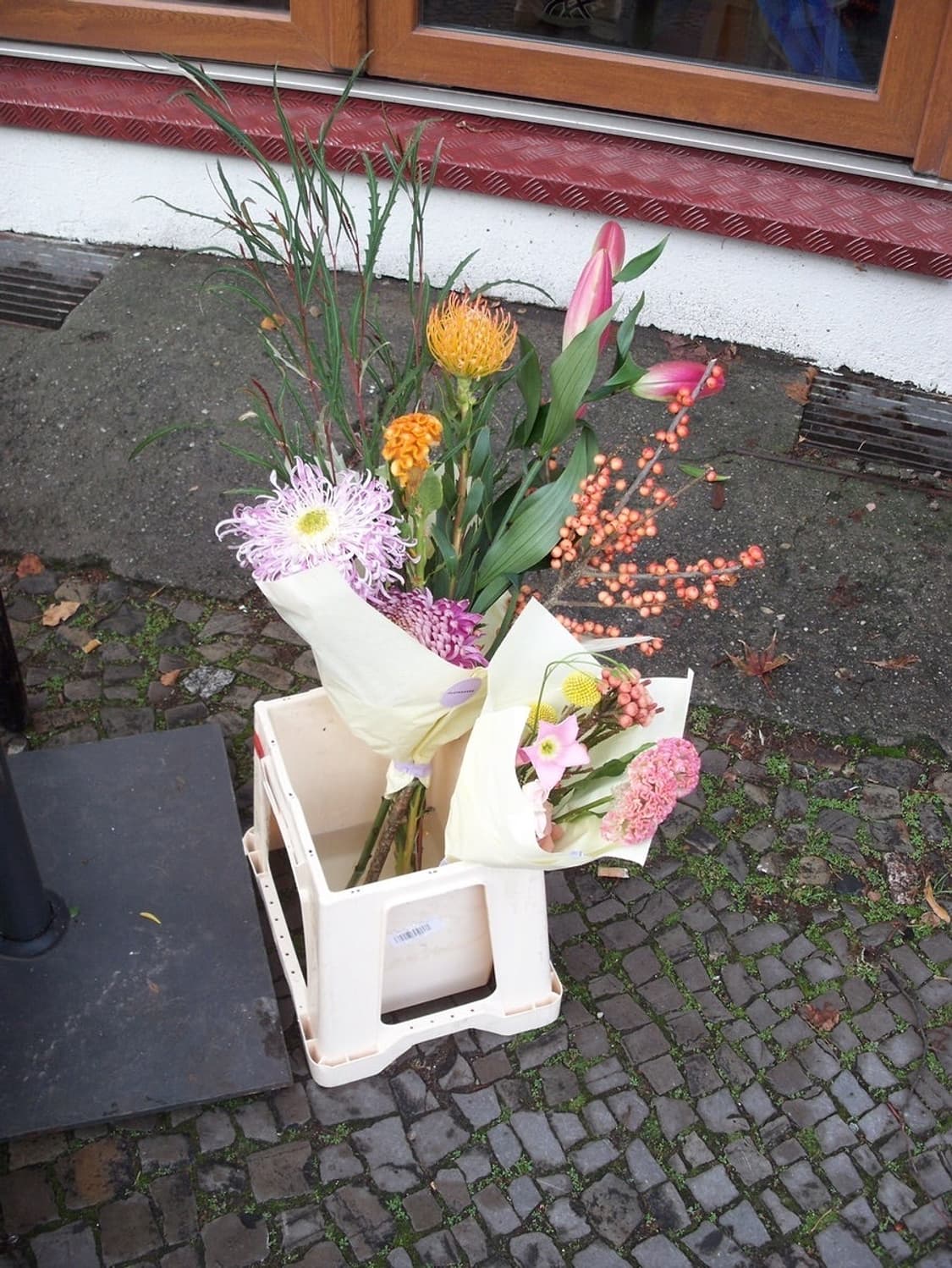 ❗️할인 코닥 이지쉐어 M883 상품이미지8