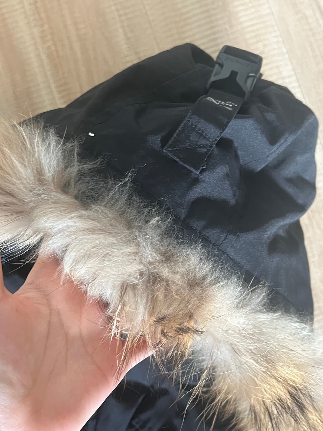 캉골 패딩 m 상품이미지4