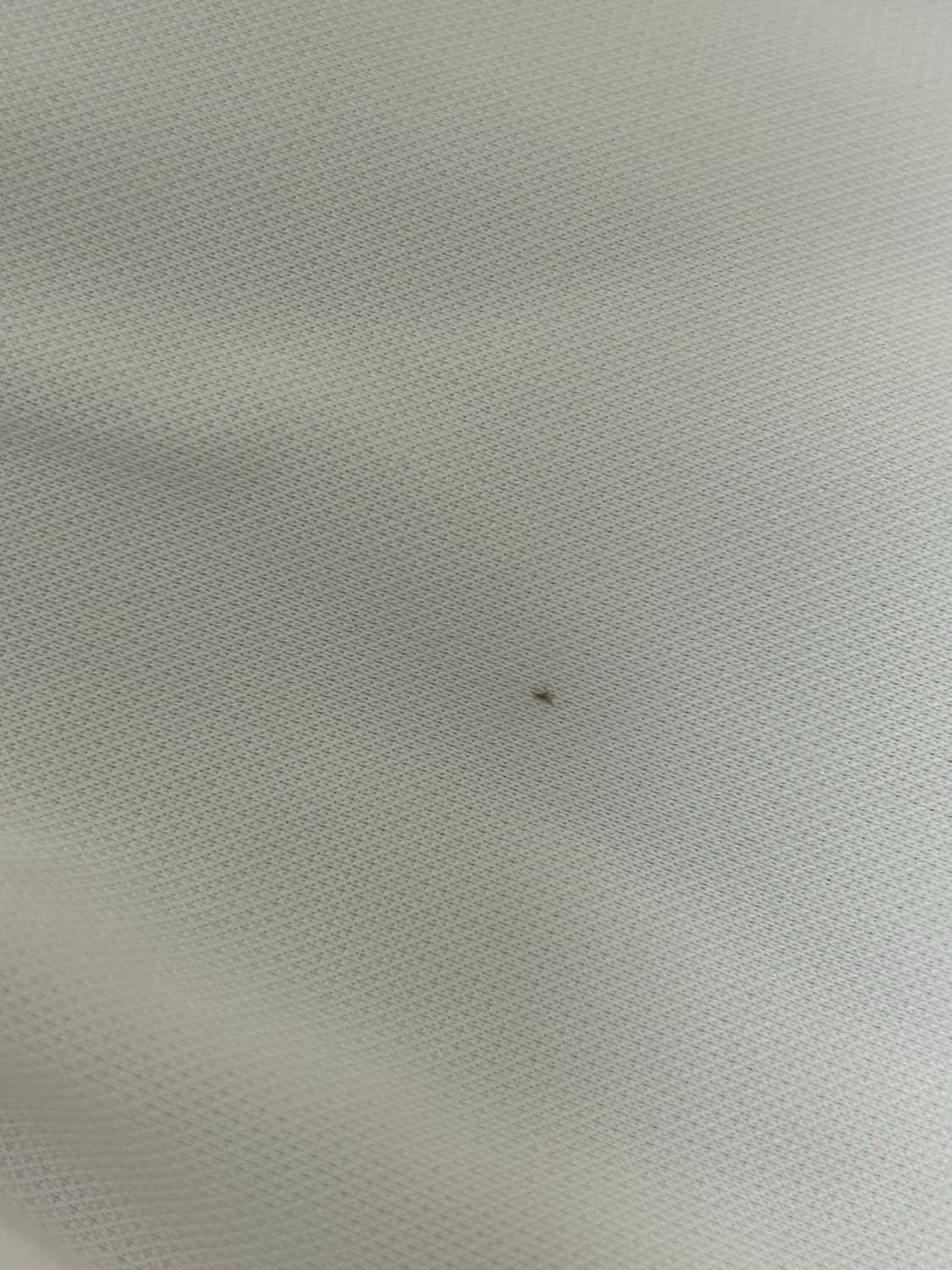 아디다스 화이트 블루 첼시 트랙탑 져지 상품이미지10