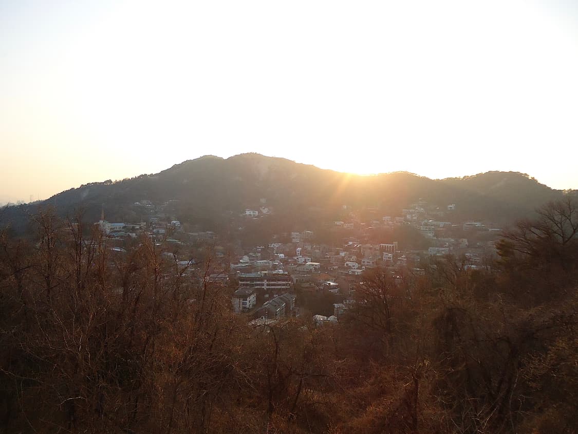 작례 O)소니 사이버샷 dsc-w320 그린 빈티지 디카 디지털 카메라 상품이미지6