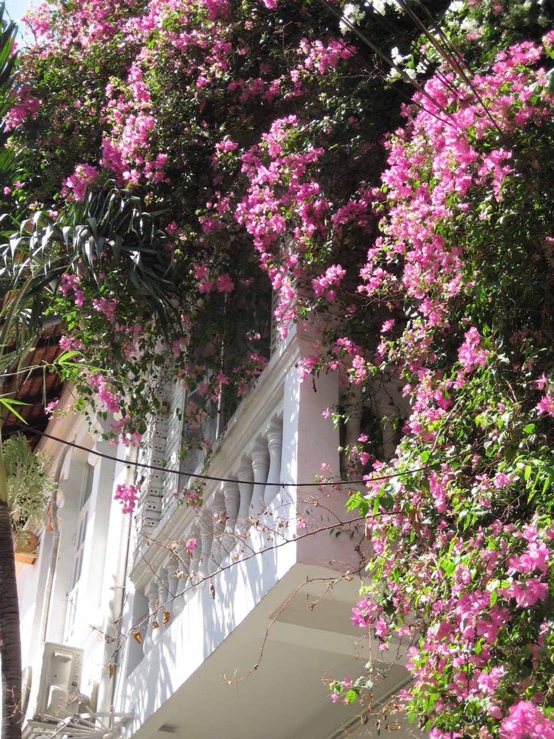 희귀✨) 캐논 ixy110is (ixus95is) 작례있음 상품이미지2