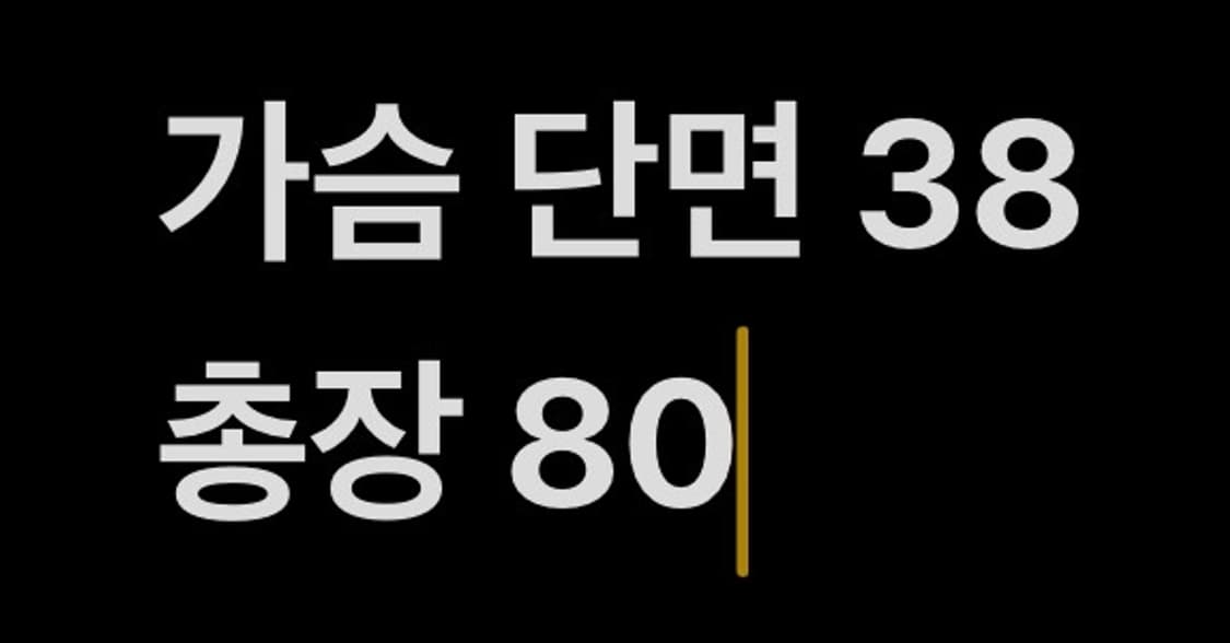 [ 정품/85 ] 아디다스 파이어버드 유로파 져지 원피스 b15 상품이미지8