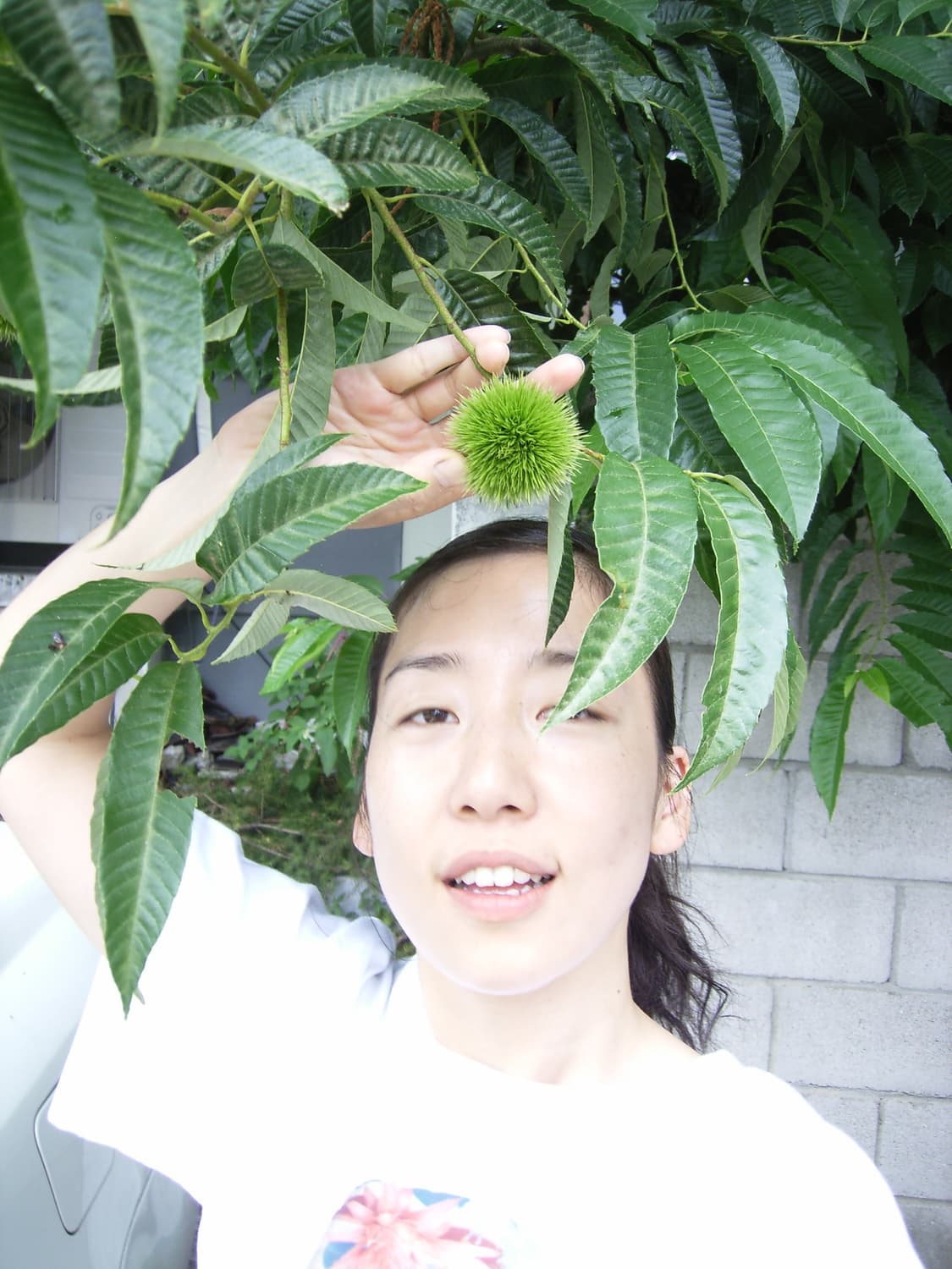 (촬영예시첨부)리코 RZ-1 디지털 카메라  상품이미지5