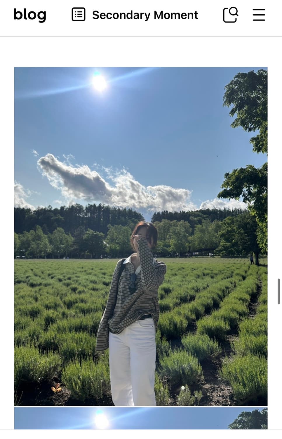 모노하 핀스트라이프 카라티 monoha 상품이미지3