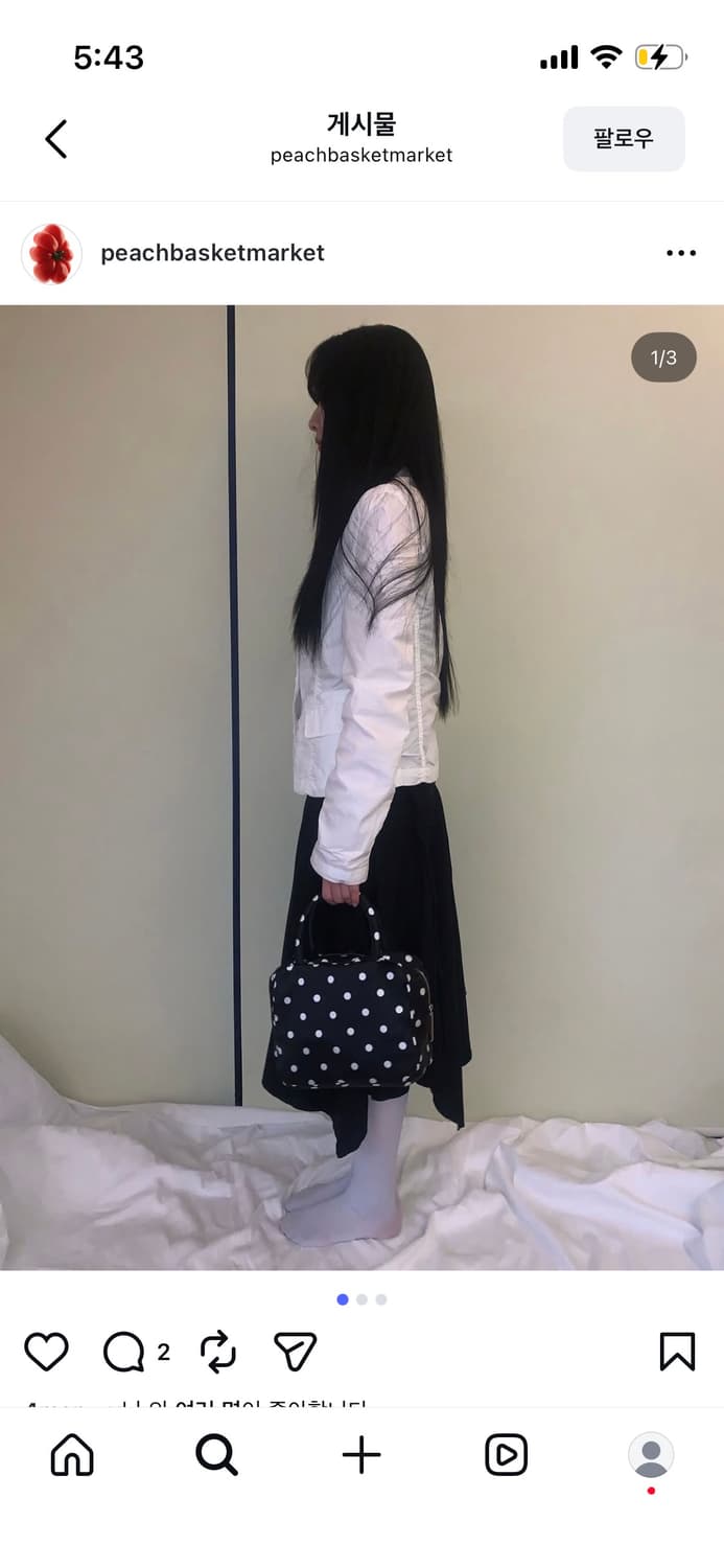 peach basket market dot bag 상품이미지4