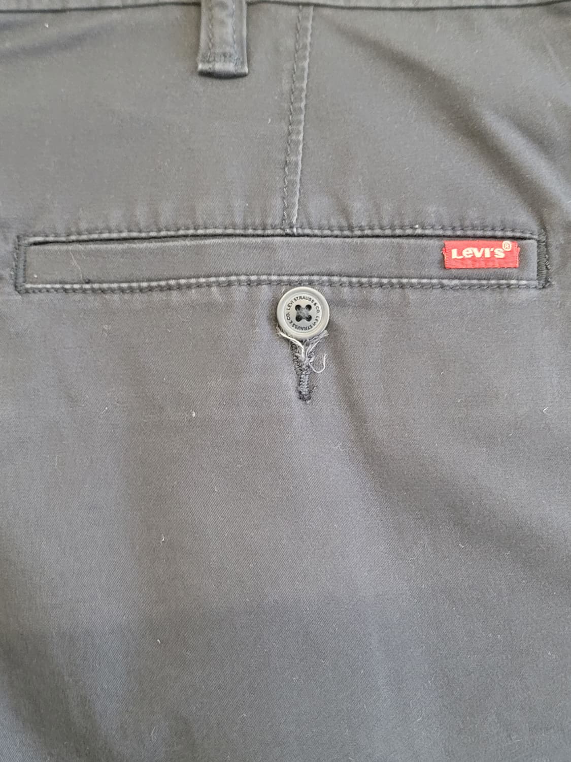 리바이스(Levi's) 코튼 치노하프팬츠(면반바지) 판매 상품이미지5