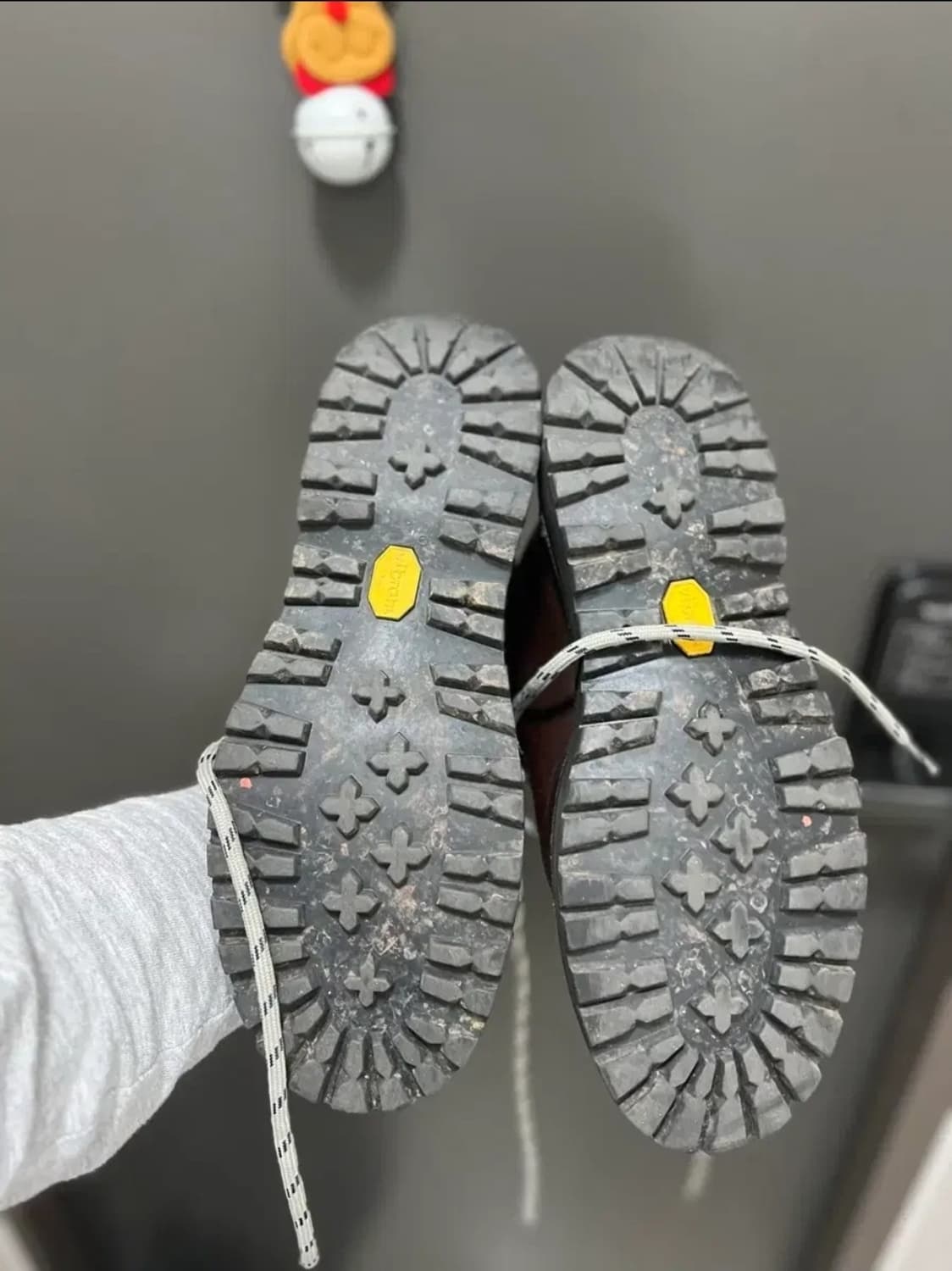 대너 마운틴 라이즈 2 상품이미지5