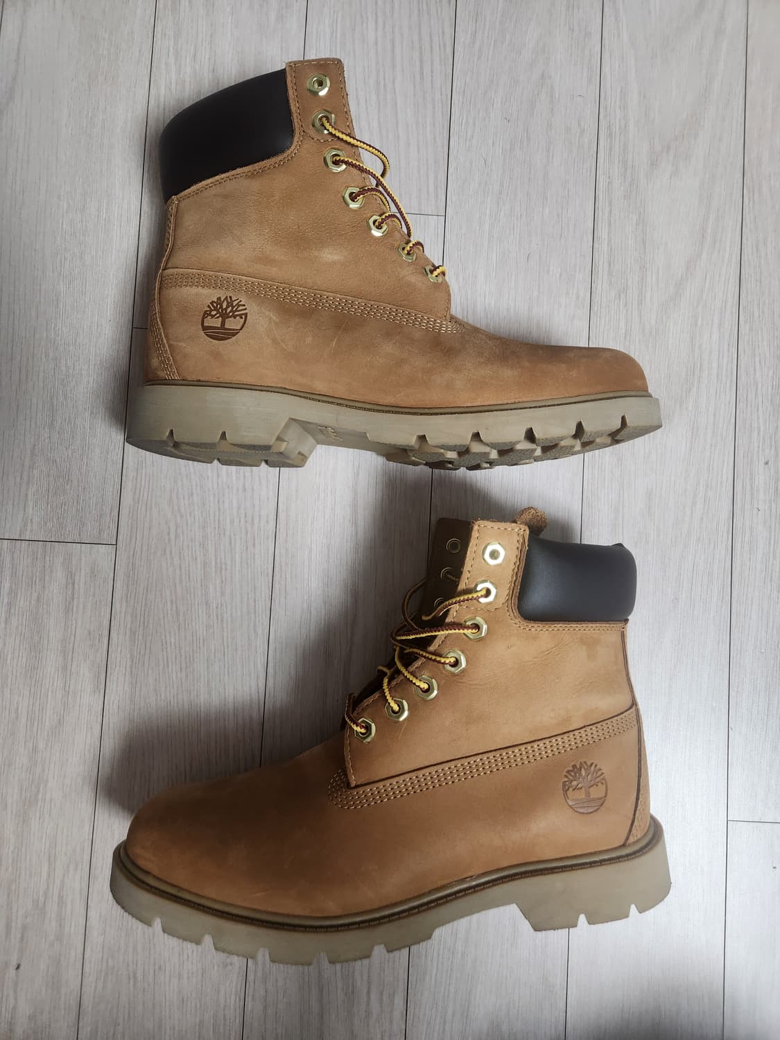 (새제품) 팀버랜드 6인치 워터프루프 옐로우 7.5W 255 상품이미지3