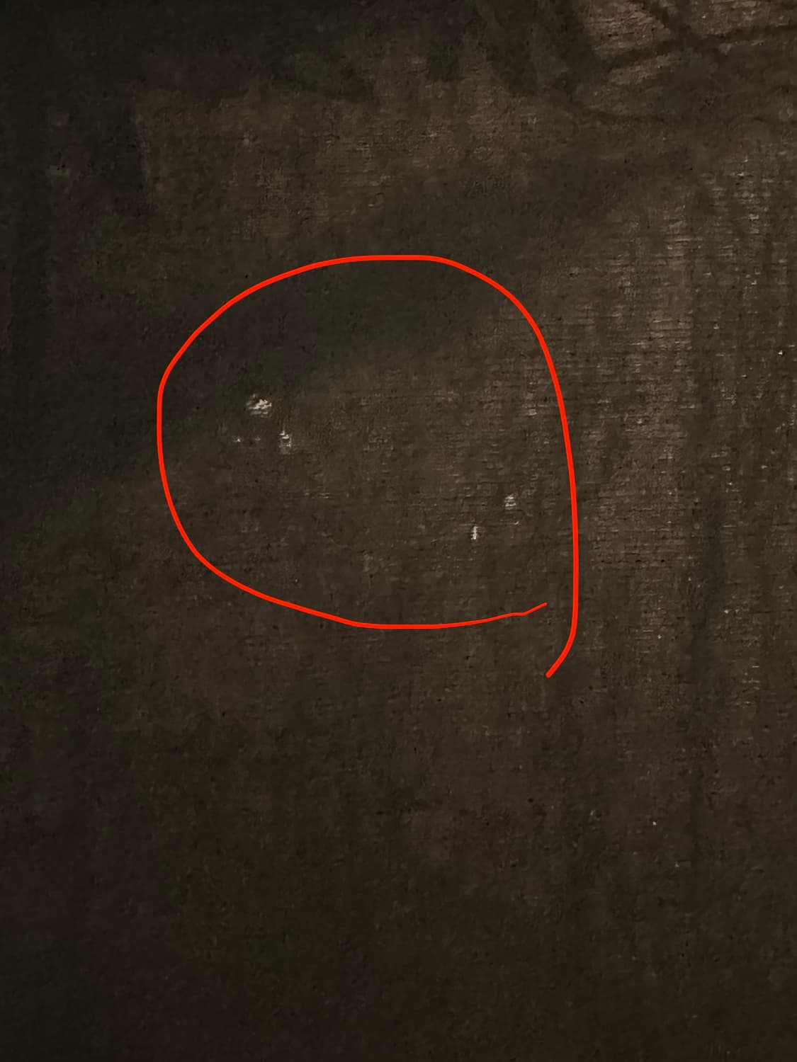 스투시 웨이브 다이 비치 쉘 자켓 L 상품이미지8