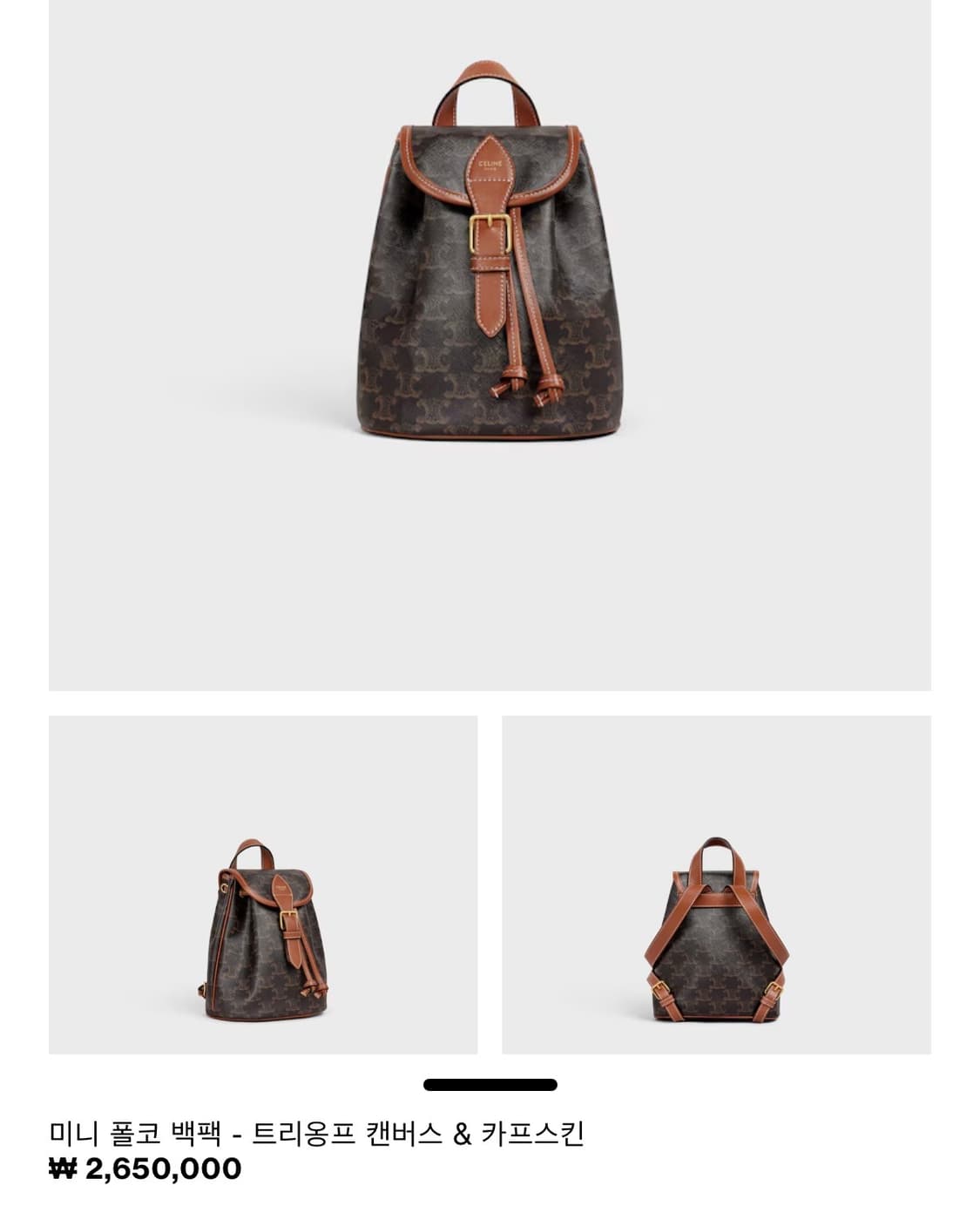 트리옹프 캔버스 & 카프스킨 폴코 백팩 상품이미지4
