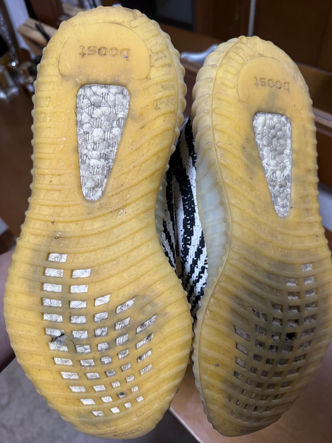 이지부스트 지브라 상품이미지2