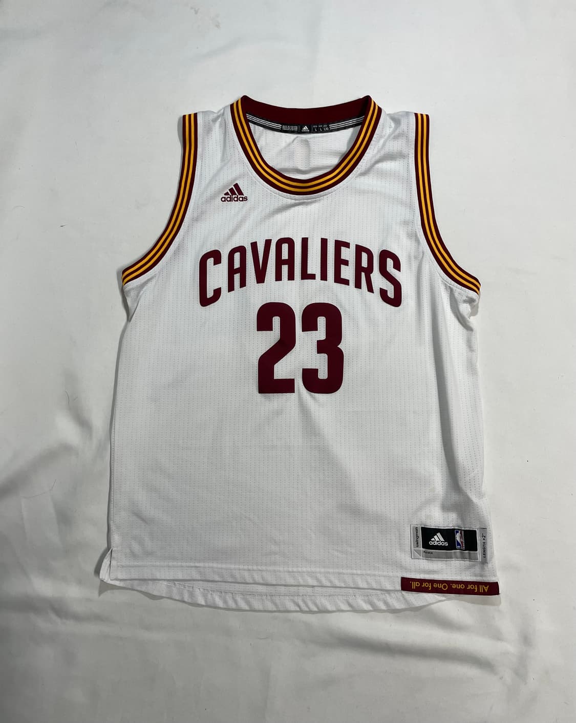르브론 제임스 클리브랜드 캐벌리어스 스윙맨 져지 상품이미지2