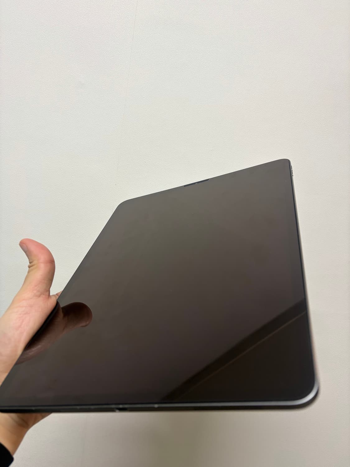 아이패드 프로 12.9인치 3세대 64기가 와이파이 스그 박스포함 상품이미지2