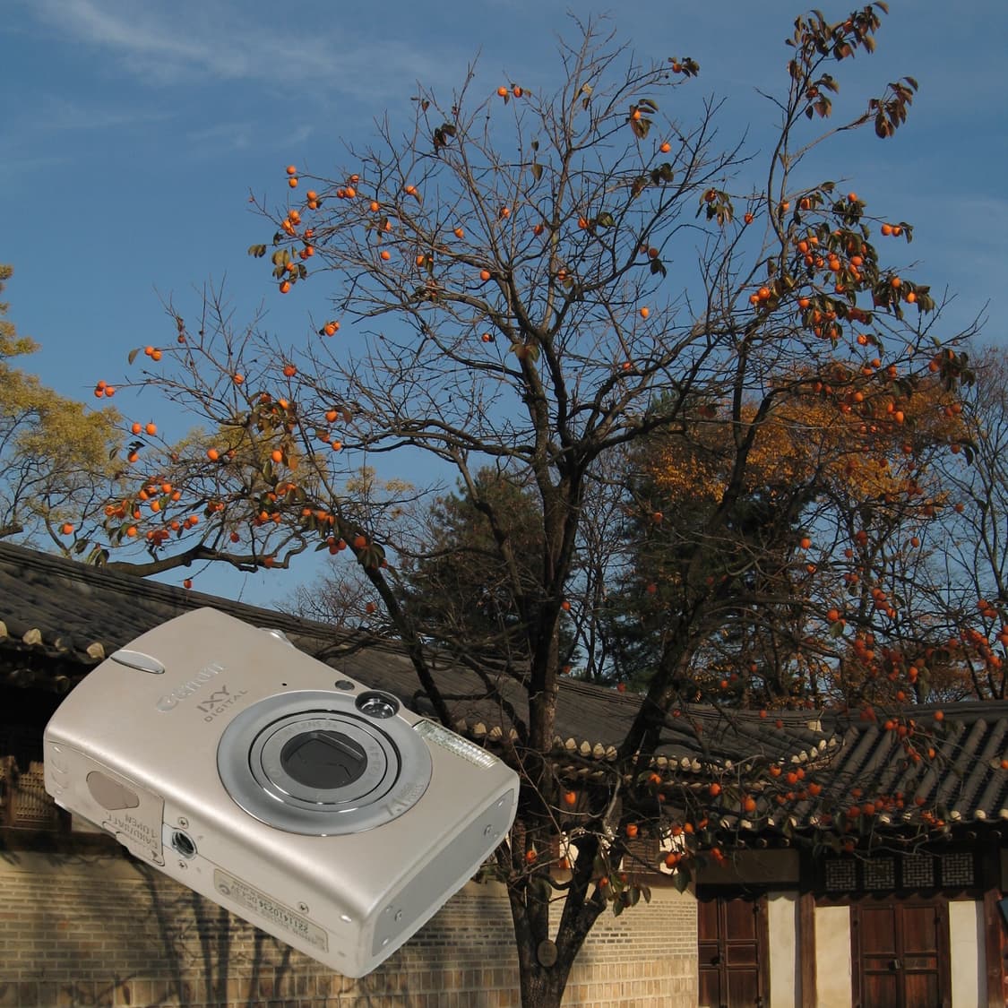 IXY Digital 700 / IXUS 750 (✨A급/🎁풀패키지) 상품이미지4