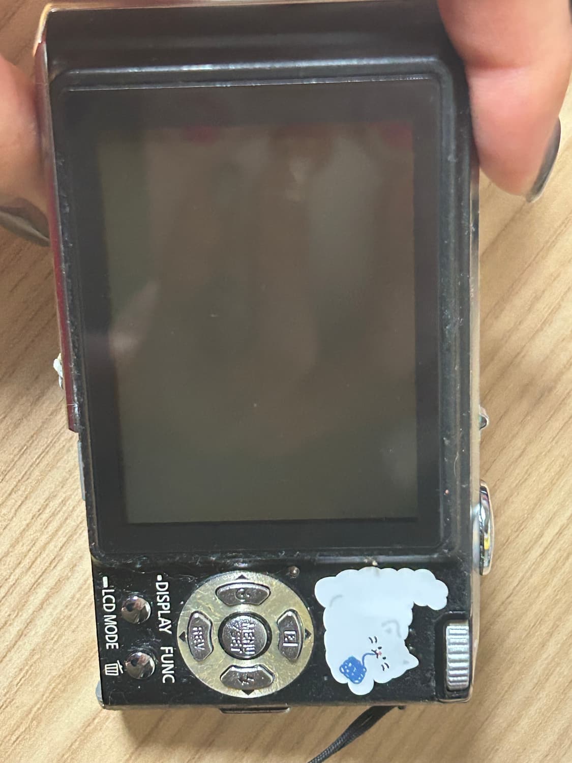 Lumix 파나소닉 루믹스 DMC-FX33 상품이미지2