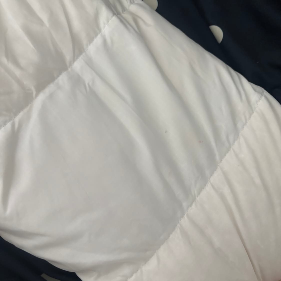 노스페이스 에코 눕시 자켓 패딩 화이트 상품이미지3