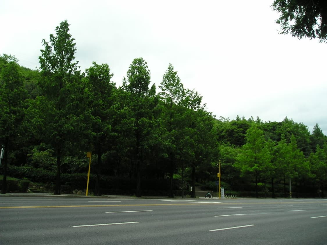 올림푸스 Olympus CAMEDIA c-350디카 상품이미지10