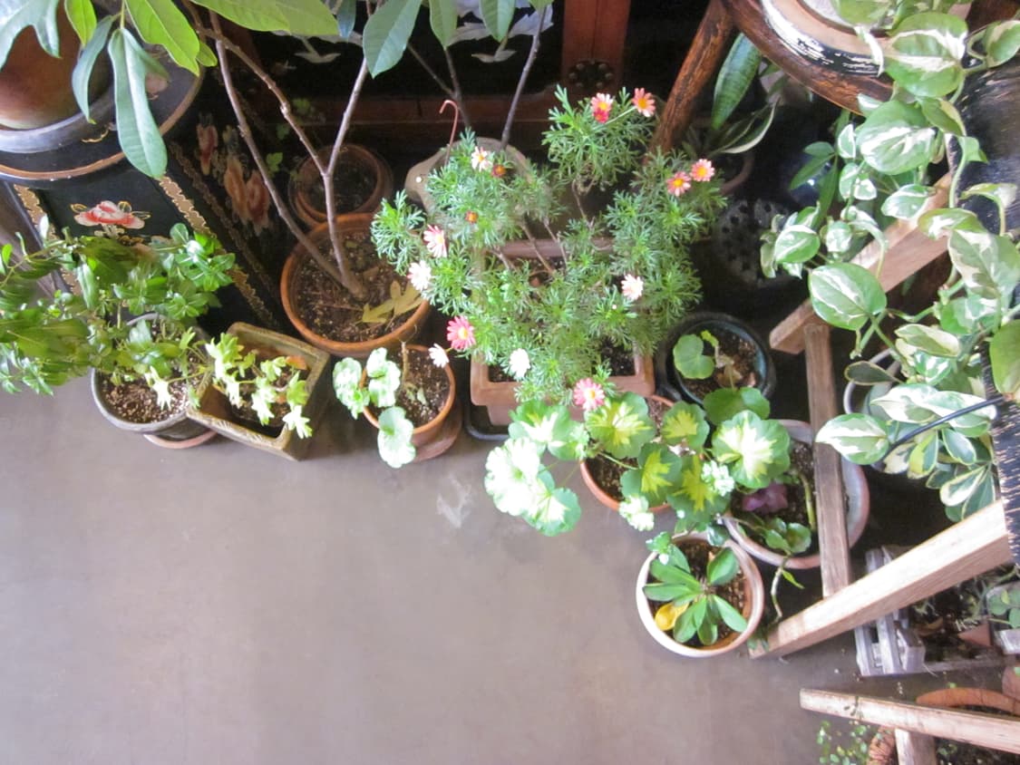 캐논 ixy 200f (ixus 105) 디지털 카메라 (익서스) 상품이미지9