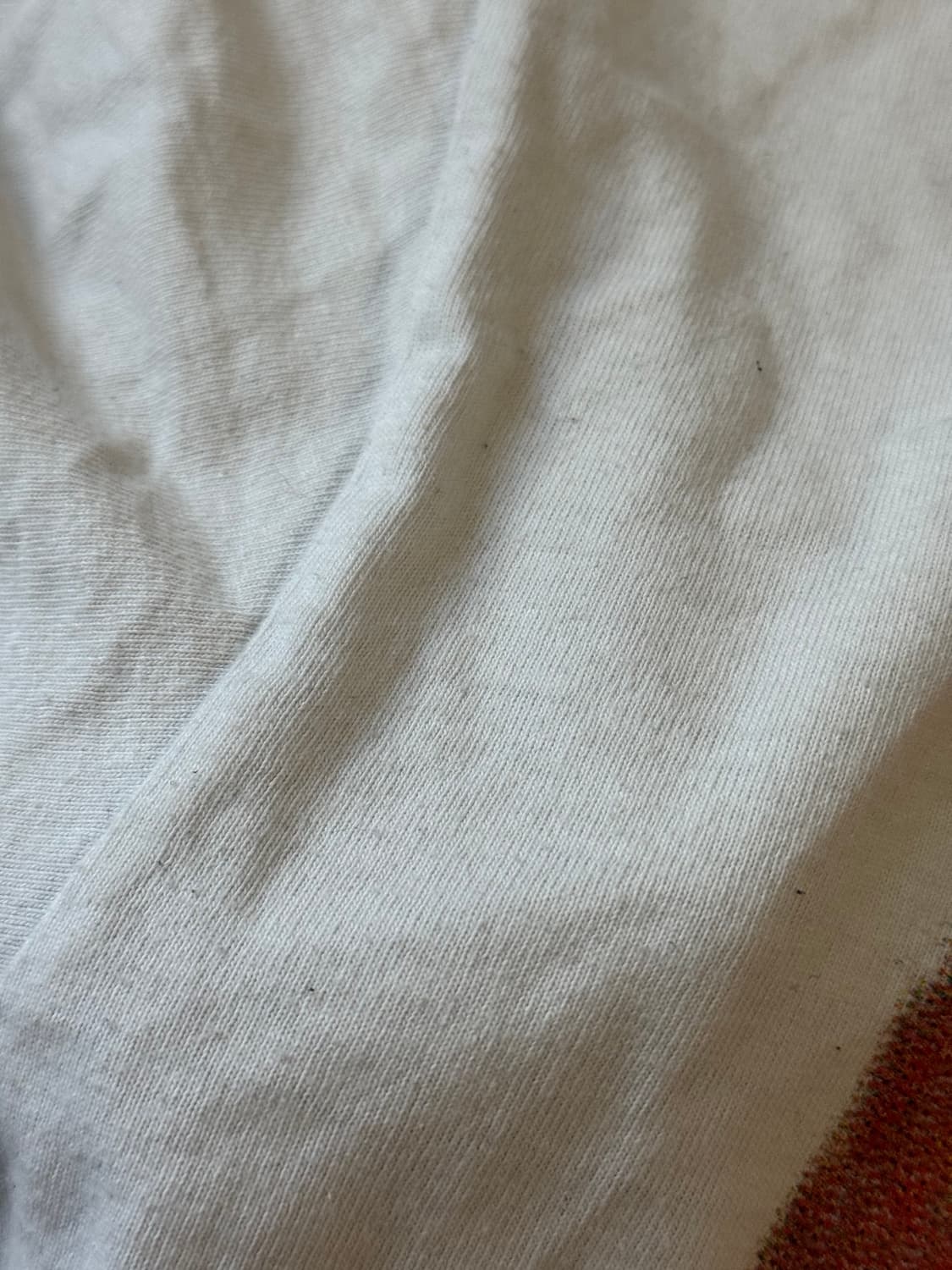 (s) 스투시 스트로베리 티셔츠 화이트 상품이미지5