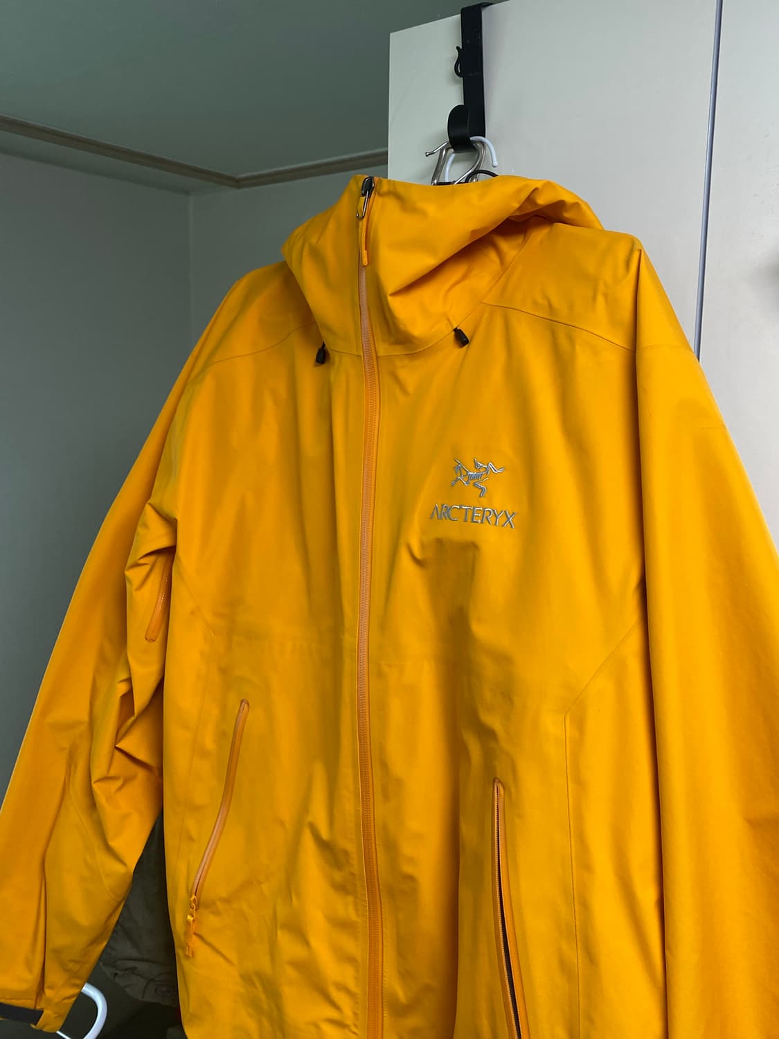 아크테릭스 베타 이그나이트 L 상품이미지1