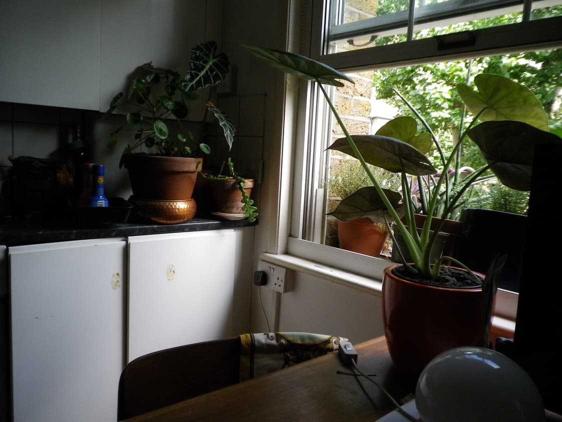 Olympus XZ-1 white 상품이미지5