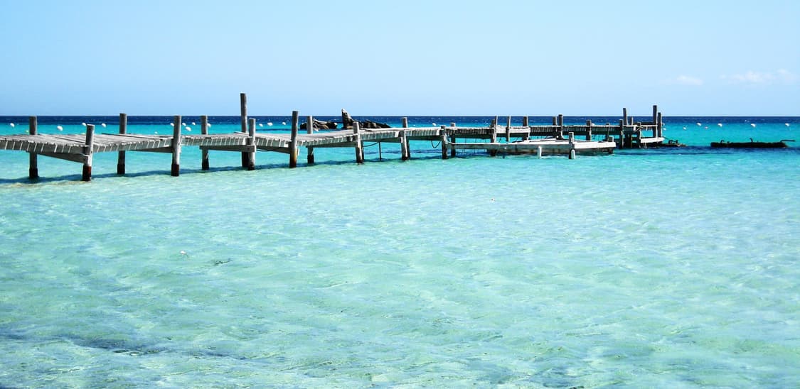 니콘 쿨픽스 S510 실버 ✨ 깔끔한 결과물 감성디카 💕 상품이미지5